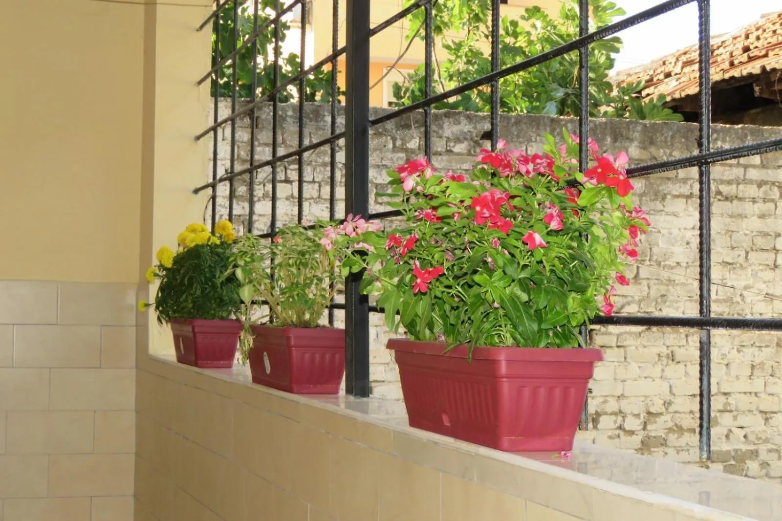 Apartment In Xhomlliku, Xhamlliku Tirana